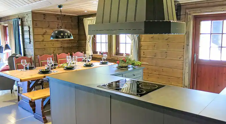 Feriebolig i Åseral