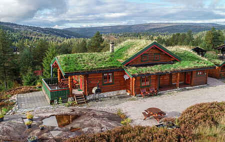 Hytte i Nissedal