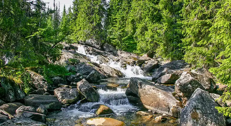 Feriebolig i Gausdal