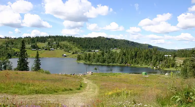 Feriebolig i Gausdal