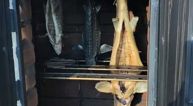 Holiday home in Surmówka