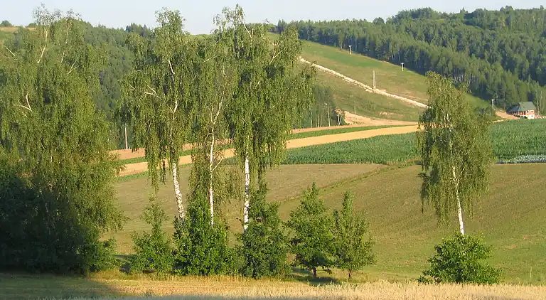 Semesterbostad i Solca