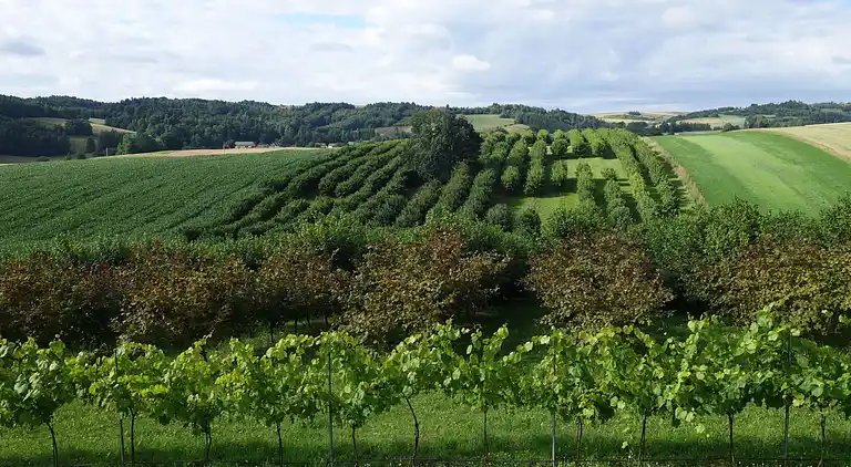 Semesterbostad i Solca