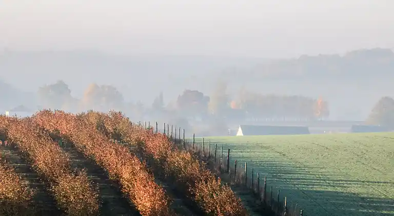 Semesterbostad i Solca