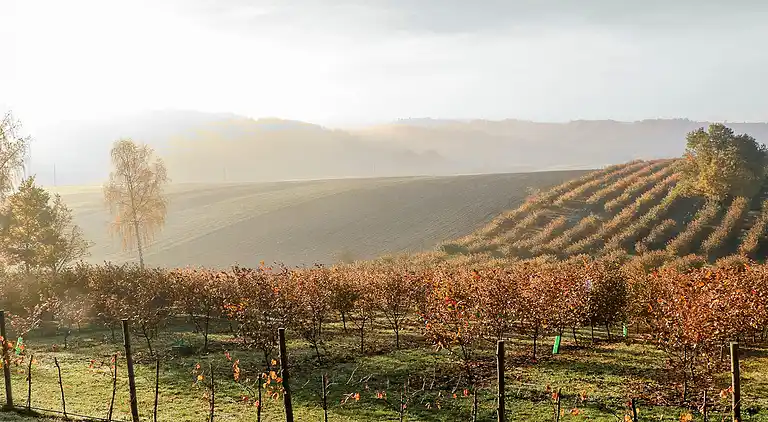 Semesterbostad i Solca