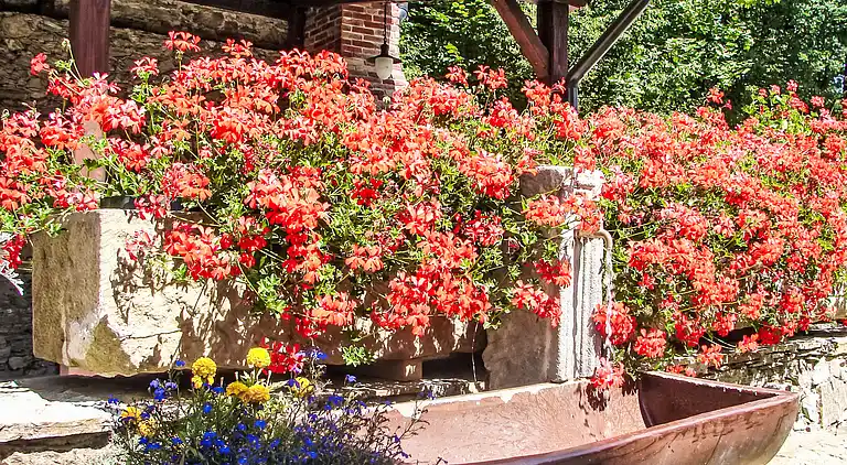 Feriebolig i Zalesie