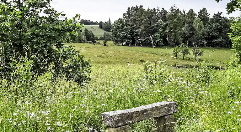 Feriebolig i Zalesie