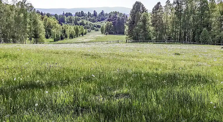 Feriebolig i Zalesie