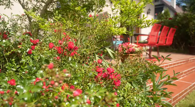 Holiday home in Bagicz