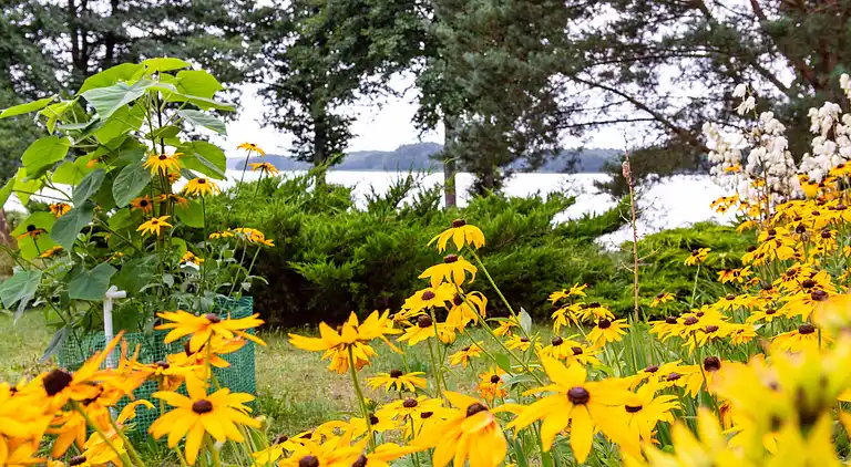 Holiday home in Głęboczek