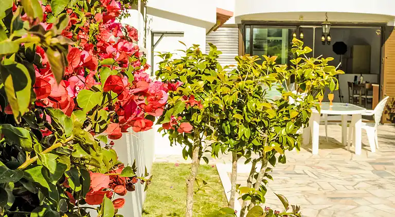 Holiday home in Ericeira