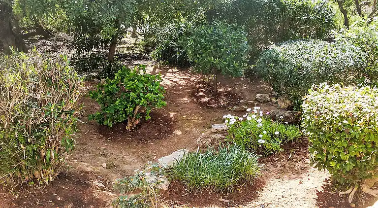 Holiday home in Carvoeiro