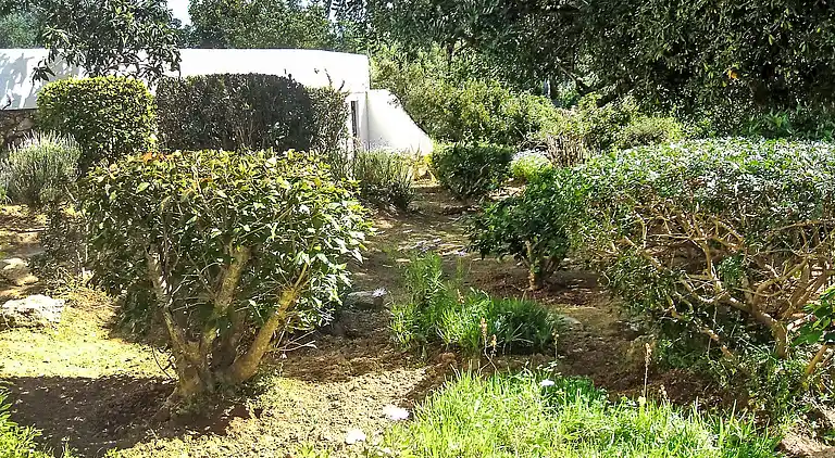 Holiday home in Carvoeiro