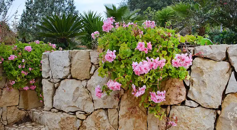 Holiday home in Carvoeiro