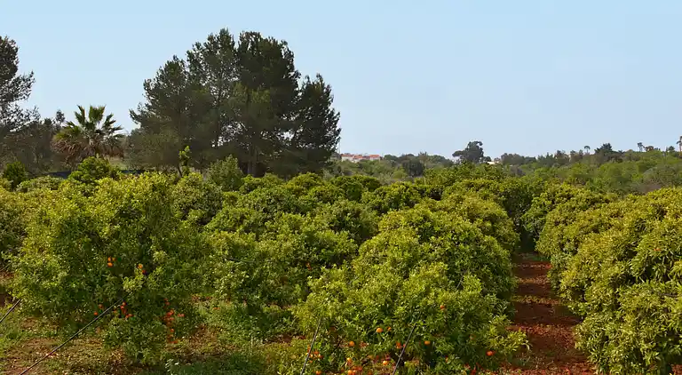 Holiday home in Carvoeiro