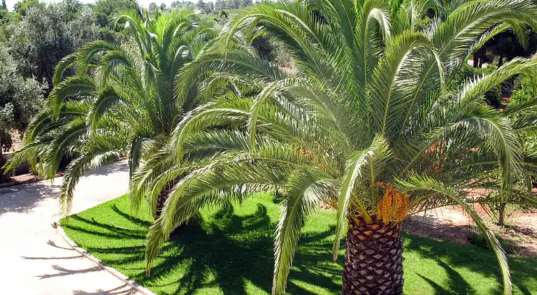 Holiday home in Carvoeiro