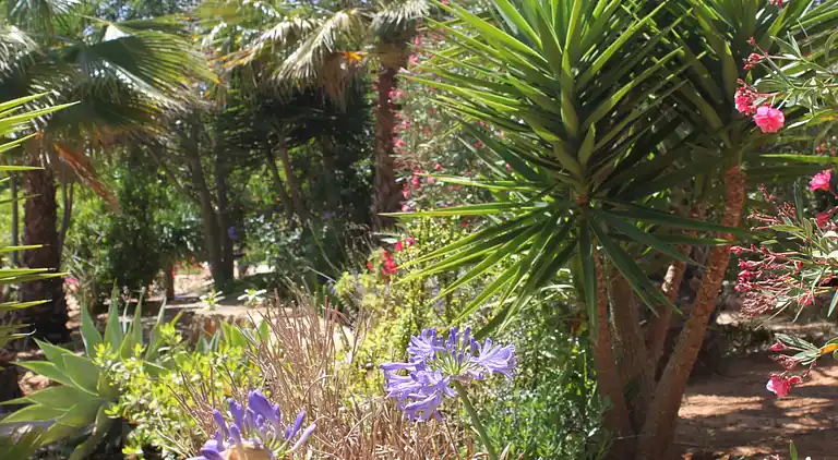 Holiday home in Carvoeiro