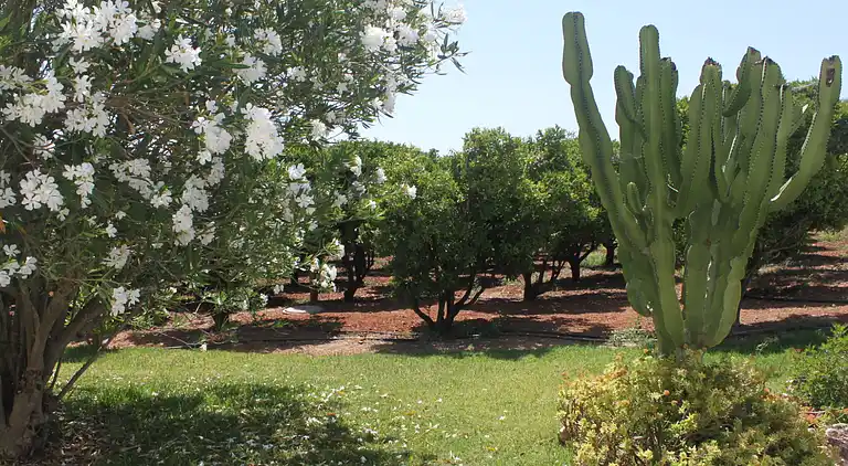 Holiday home in Carvoeiro