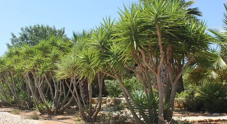 Holiday home in Carvoeiro