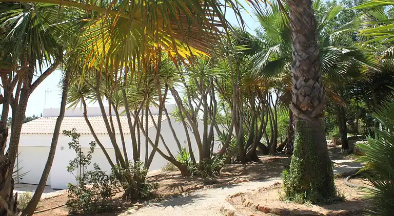 Holiday home in Carvoeiro