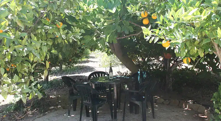 Holiday home in Carvoeiro