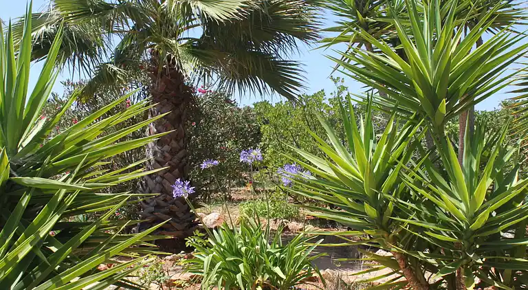 Holiday home in Carvoeiro