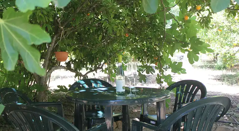 Holiday home in Carvoeiro