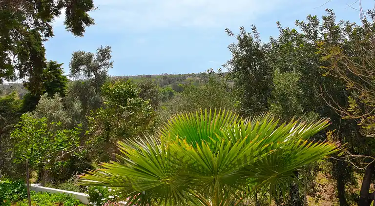 Holiday home in Guia