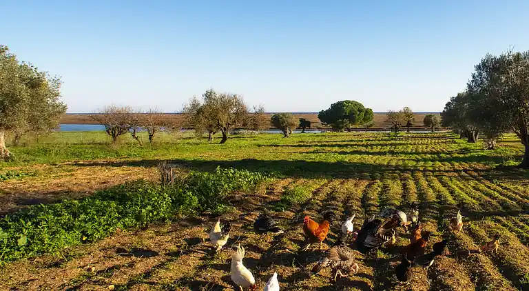 Feriebolig i Luz de Tavira