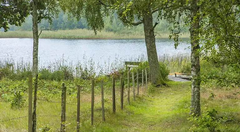 Feriebolig i Ronneby N