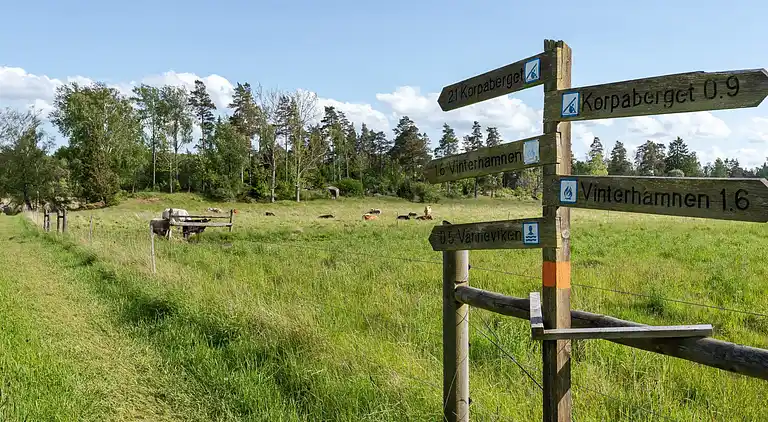 Feriebolig i Askersund V