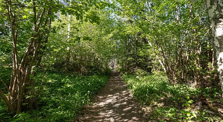 Feriebolig i Askersund V