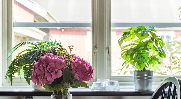 Feriebolig i Sölvesborg S