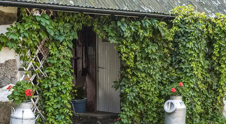 Feriebolig i Sölvesborg S