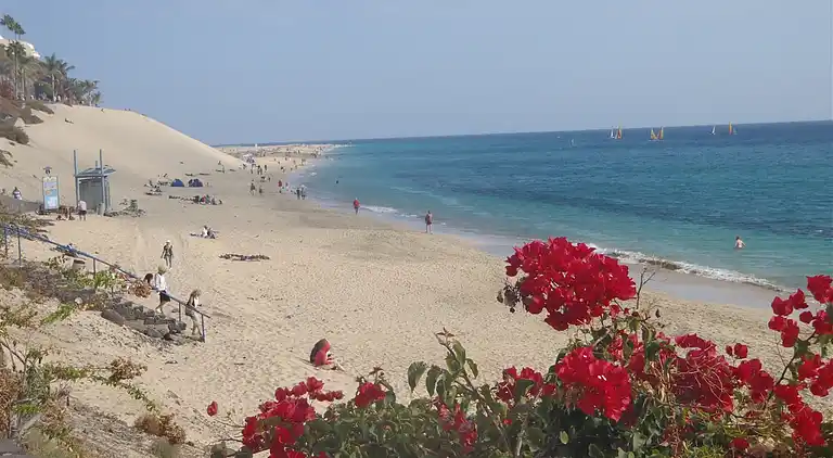 Spacious apartment 200 meters from the beach 