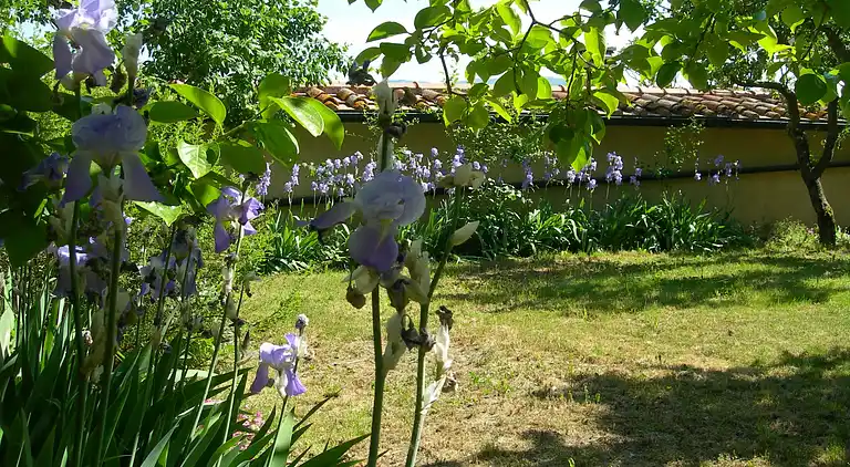 Holiday home in Montecastelli Pisano