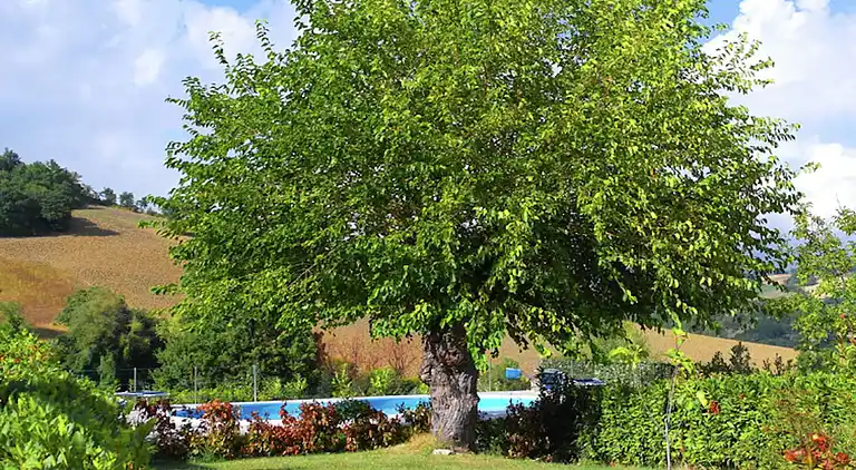 Villa i San Severino Marche