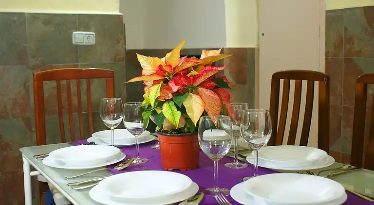 Beautiful, &amp; unique flat close to the beach