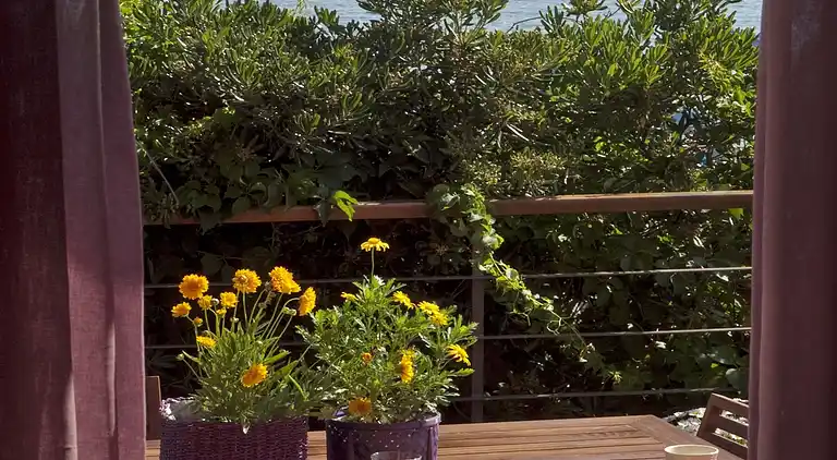 "The House By The Sea" beachfront villa with pool up 9 pers.