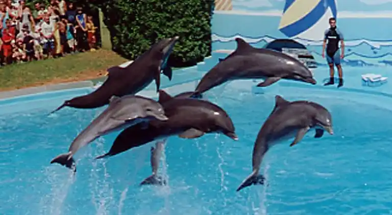 Fantastico appartamento sulla spiaggia (Albufeira)