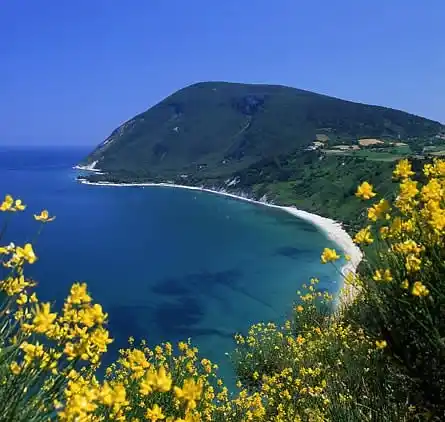 RENTING TAVERN in CONERO RIVIERA