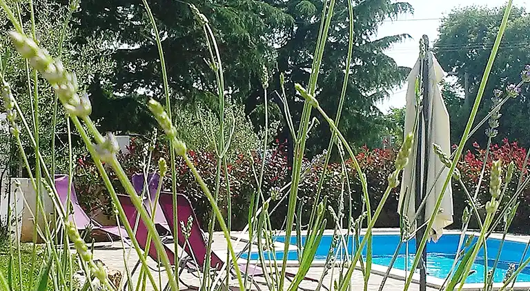 Just 3,5 km away from Porec, private Pool, WiFi, BBQ