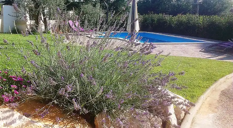 Just 3,5 km away from Porec, private Pool, WiFi, BBQ