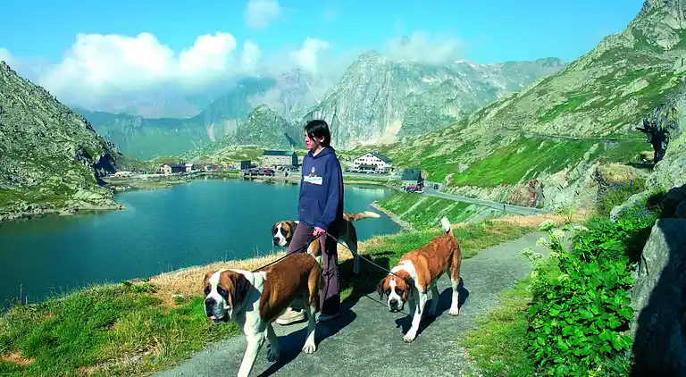 Cottage in Thyon-Les Collons