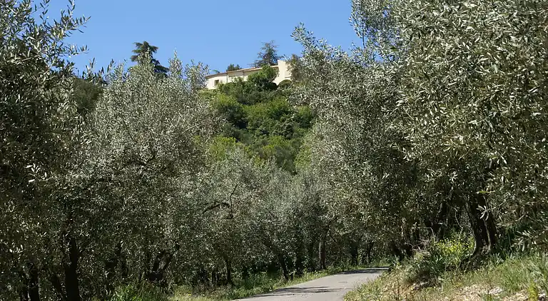 Holiday home in Buis-les-Baronnies