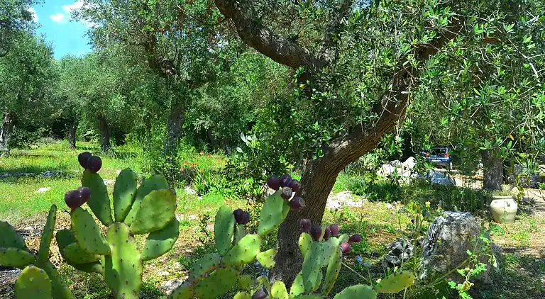 Holiday home in Spongano