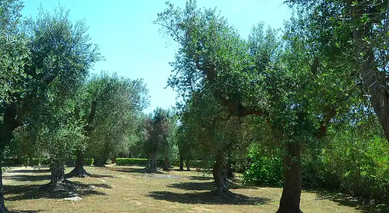 Holiday home in Spongano