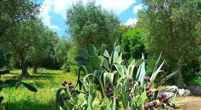 Holiday home in Spongano