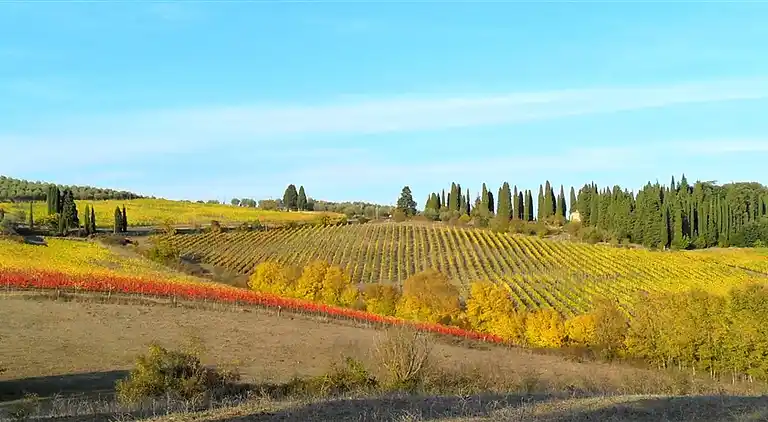 Mandolino Apartment Tuscany countryside, Siena