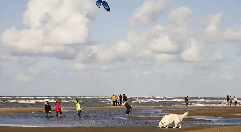 Holiday home in Katwijk